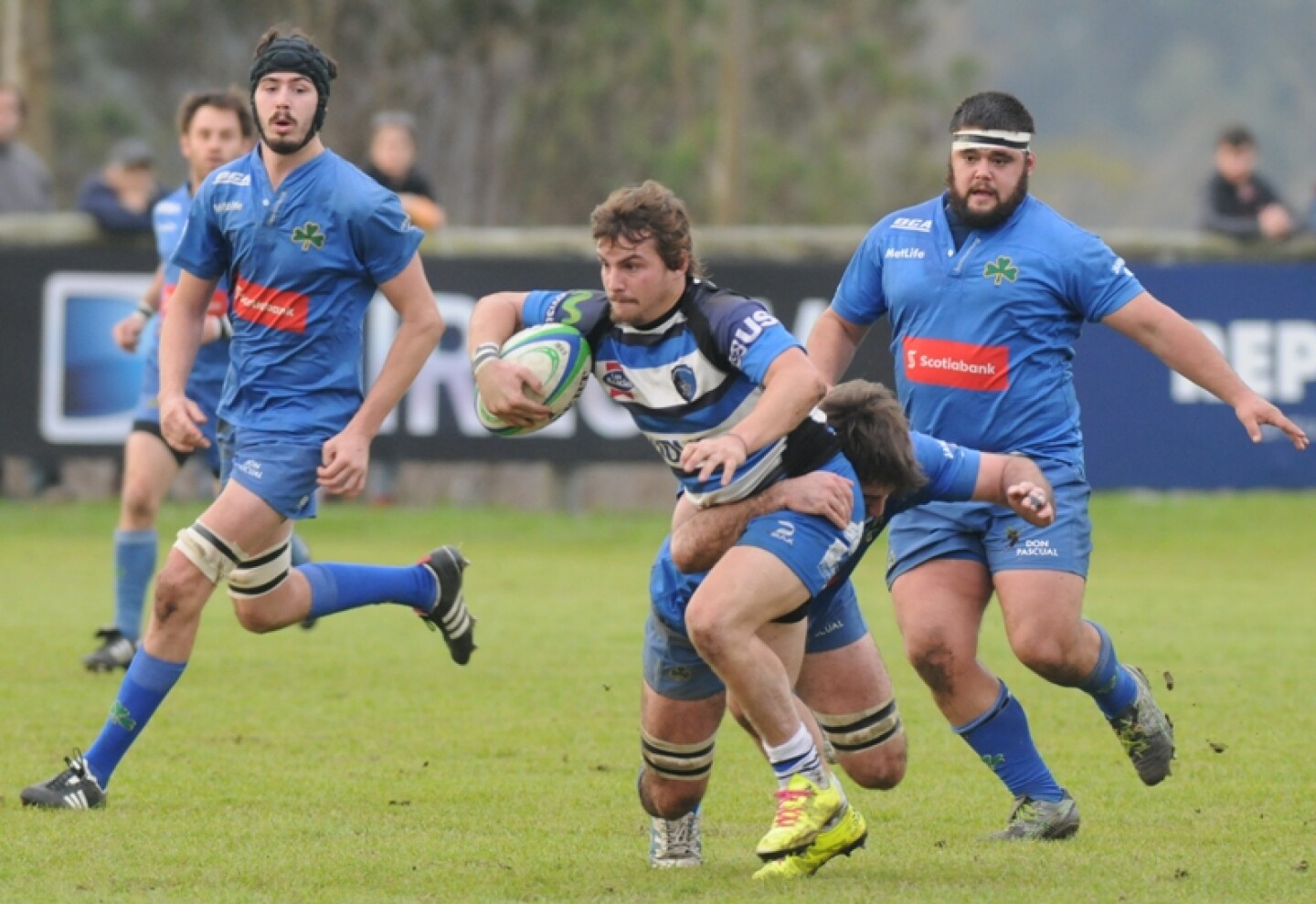 Carrasco polo discount rugby